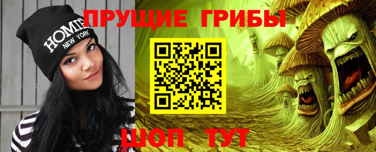 Псилоцибиновые грибы Psilocybe Камышлов